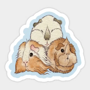 Guinea Pig Cuteness! Sticker